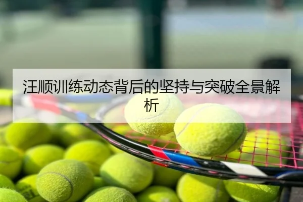 汪顺训练动态背后的坚持与突破全景解析
