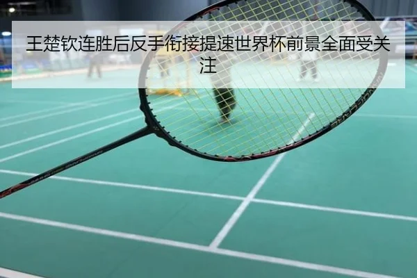 王楚钦连胜后反手衔接提速世界杯前景全面受关注