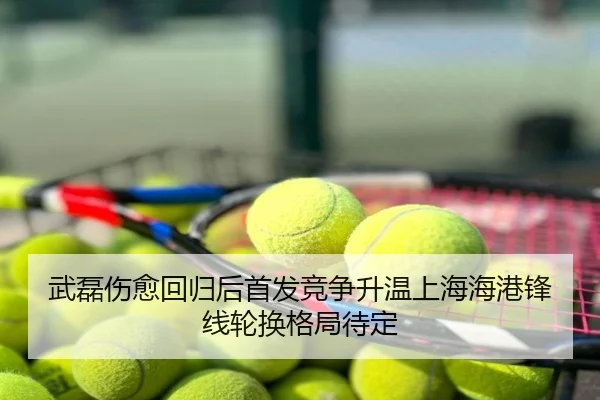 武磊伤愈回归后首发竞争升温上海海港锋线轮换格局待定